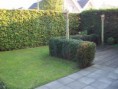 /album/fotogalerij-tuddern-sofienring-35/a100-1766-jpg/